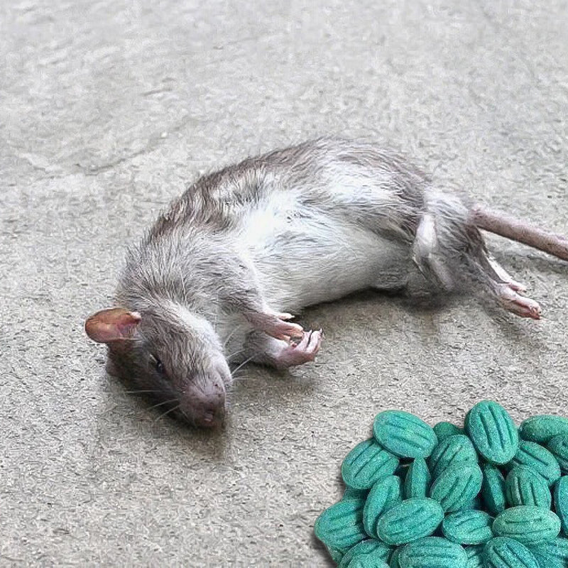 RodentX™ – Professioneel Knaagdier Lokmiddel