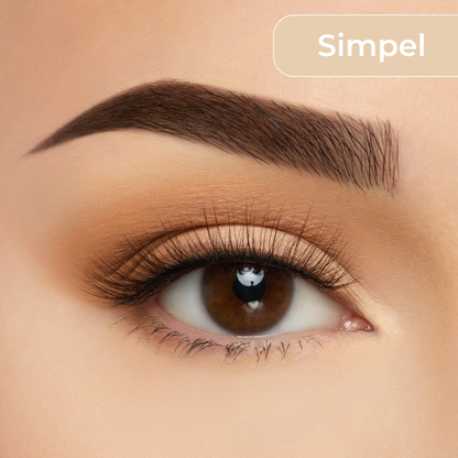 MAGNETIC LASH KIT