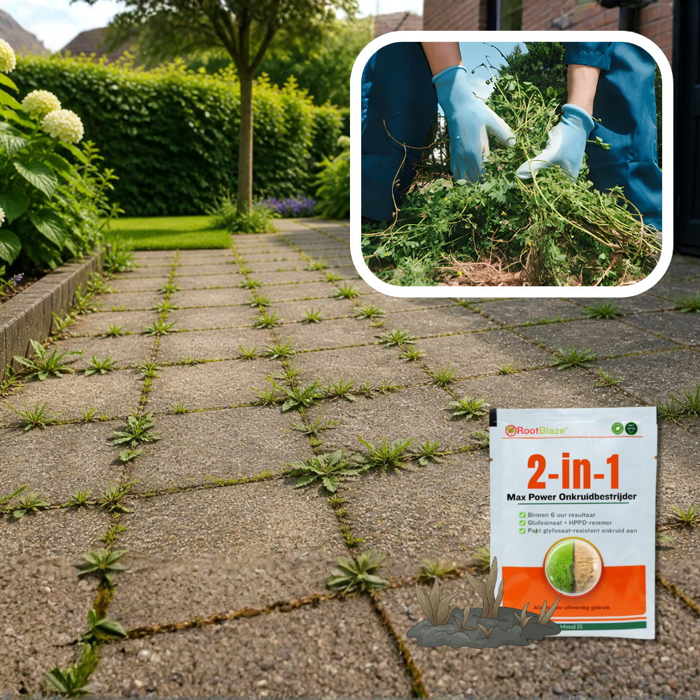 RootBlaze™ Onkruidbestrijder – Zichtbaar Resultaat in 6 Uur