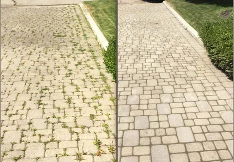 RootBlaze™ Onkruidbestrijder – Zichtbaar Resultaat in 6 Uur