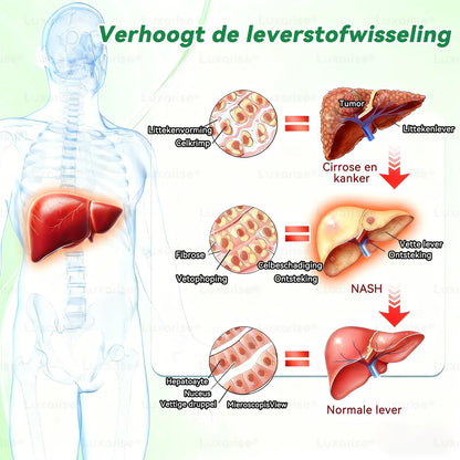 Luxarise® Moringa + Berberine Pleister  • Zichtbaar resultaat