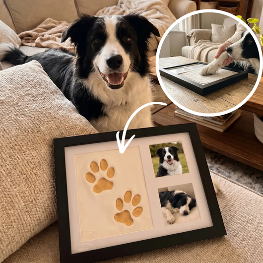 PawMemor™ Pootafdruk Herinneringsset van Klei
