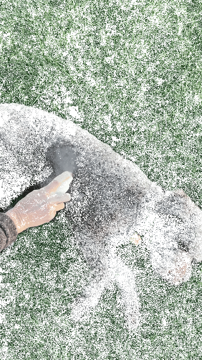 Kalmerende Huidverzorgende Spray voor Huisdieren