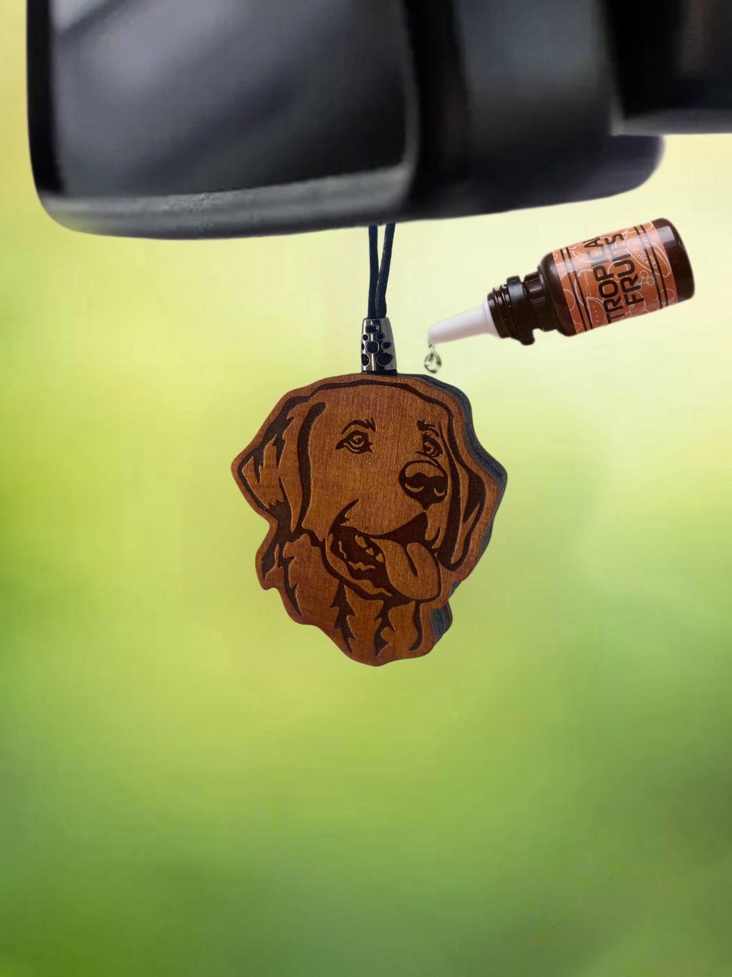 Houten Autogeurhanger