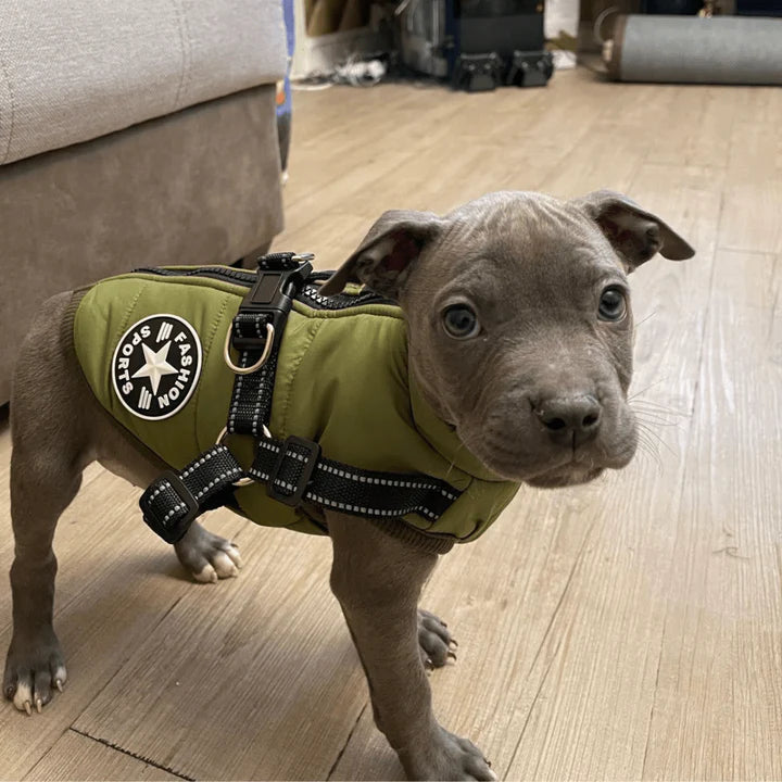 ThermoPaw Winter Coat