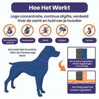 Anti Vlooien- en Tekenband – Natuurlijke Bescherming tot 8 Maanden | 1+1 GRATIS