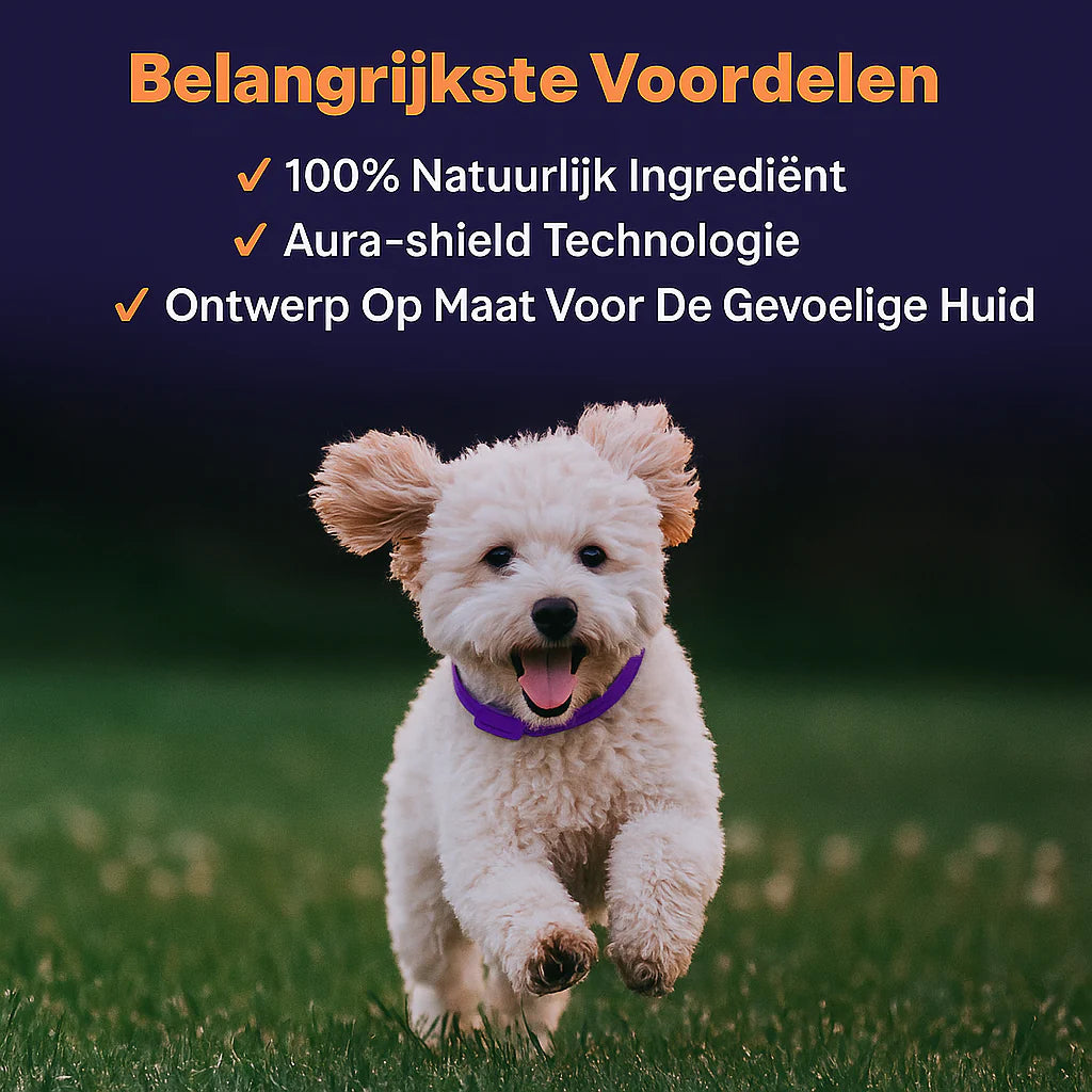 Anti Vlooien- en Tekenband – Natuurlijke Bescherming tot 8 Maanden | 1+1 GRATIS