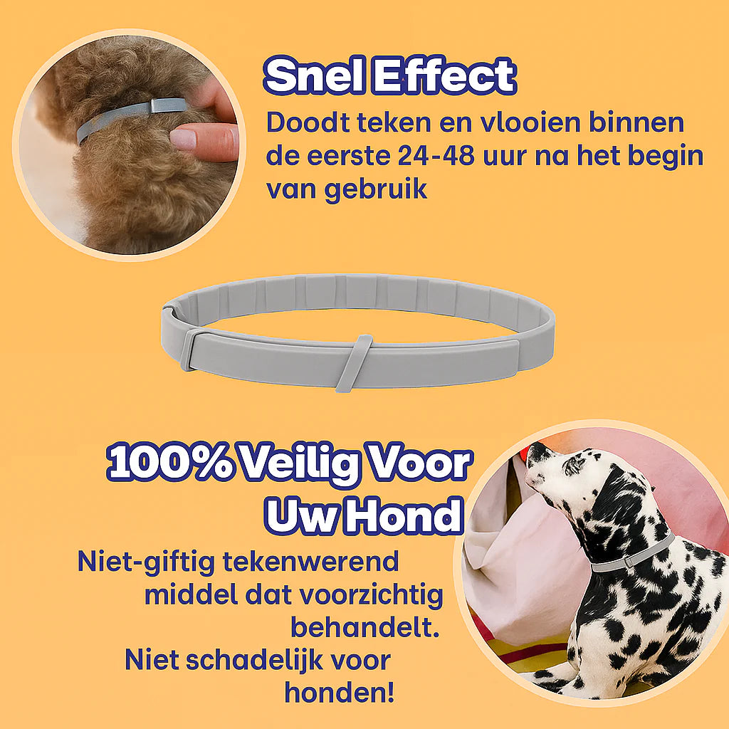 Anti Vlooien- en Tekenband – Natuurlijke Bescherming tot 8 Maanden | 1+1 GRATIS