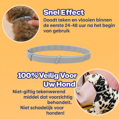Anti Vlooien- en Tekenband – Natuurlijke Bescherming tot 8 Maanden | 1+1 GRATIS