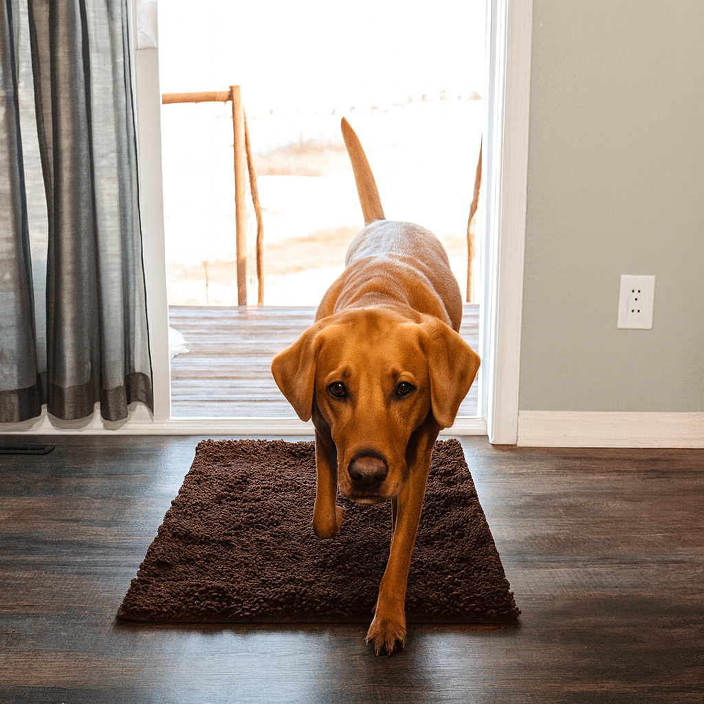 Deurmat voor Hondenpoten – Ultra-absorberend en antislip