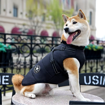 ThermoPaw Winter Coat