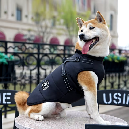 ThermoPaw Winter Coat