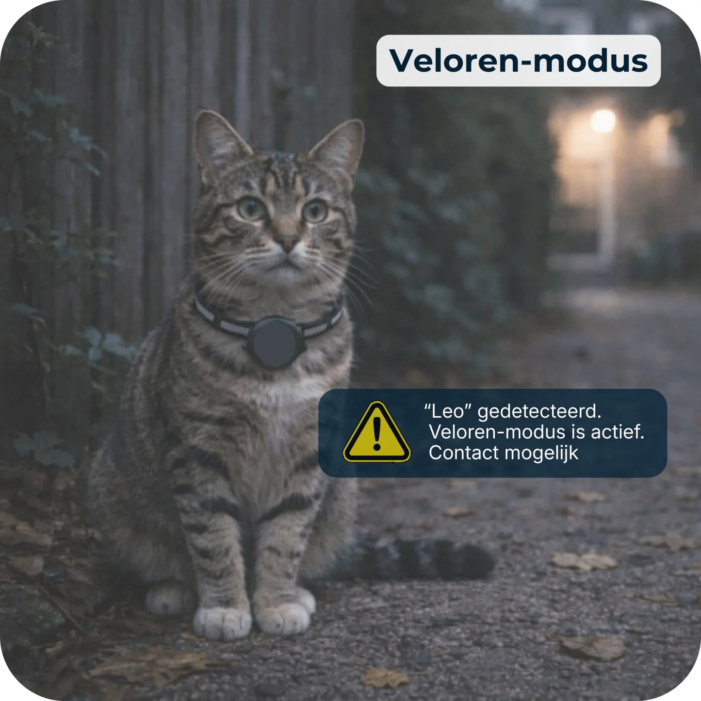 AirTrackTag | Katten Tracker