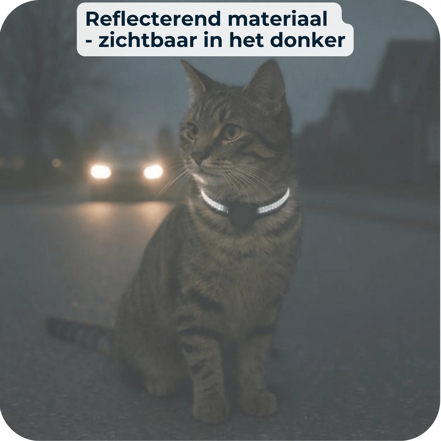 AirTrackTag | Katten Tracker