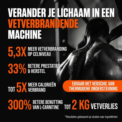 Fatburn 2.0