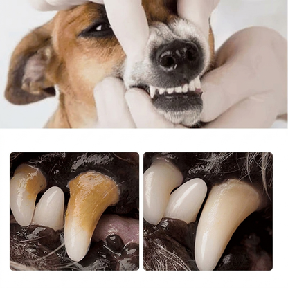 PurePaw™ | Geavanceerde Spray Tegen Tandsteen & Slechte Adem