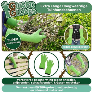 Licht Groen
