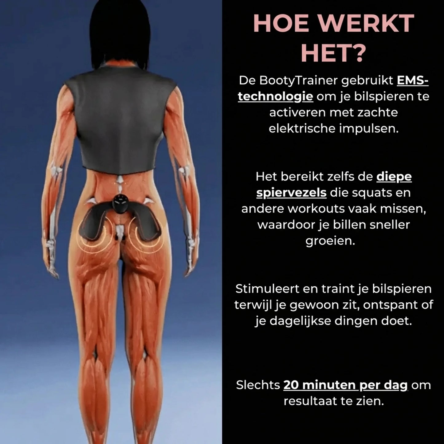 Zorvera™ Biltrainer